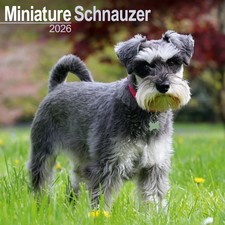 Calendrier 2026 - SCHNAUZER
