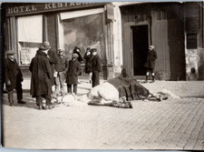 Paris, un cheval couché au sol, 1930 Vintage print Tirage argentique  8x11
