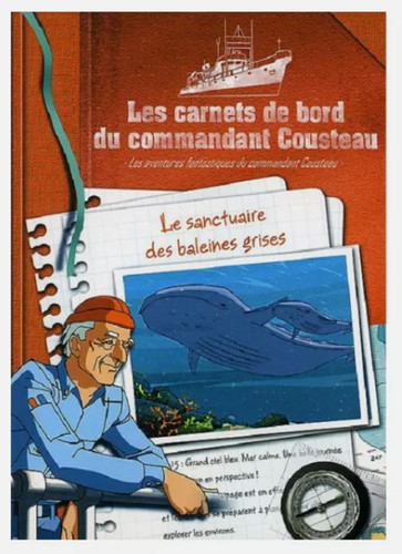 Les carnets bord du - les,