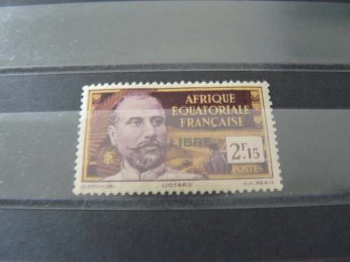 Aef france libre - aef, 121