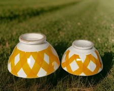 2 Bols Sarreguemines Décor