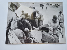 Photo Presse WW2 AFRIKA KORPS  Arrivée du courrier / Corps Africain /German 1942