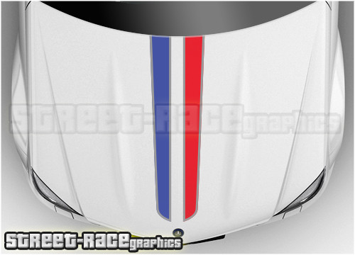 Bsu004 citroen bonnet racing - citroen,