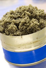 Caviar Top Selection hyb