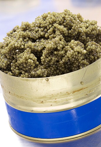 Caviar top selection hyb - caviar,