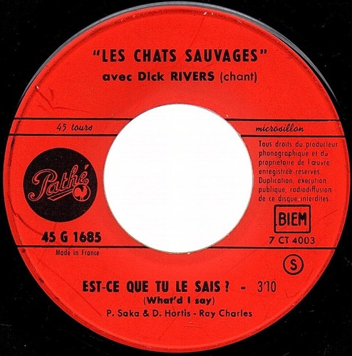 Les chats sauvages - chats,