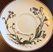 Villeroy & Boch Botanica Vitro