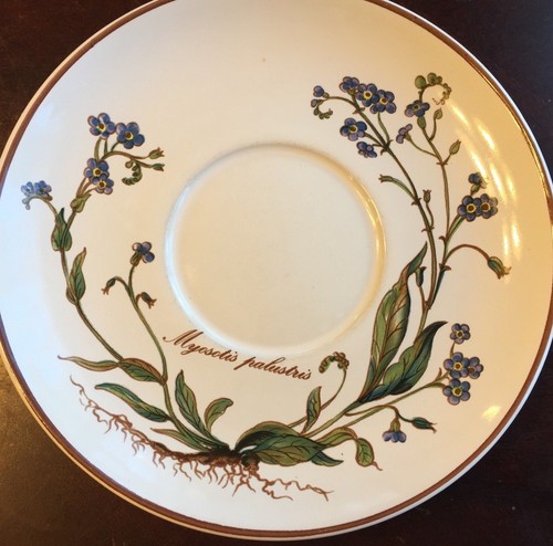 Villeroy boch botanica vitro - &,