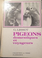 PIGEONS DOMESTIQUES ET