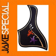 JakeSpecial – Solid Wood