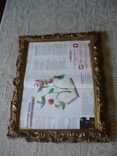 Ancien miroir  cadre  En Bois Et   Stuc Doré