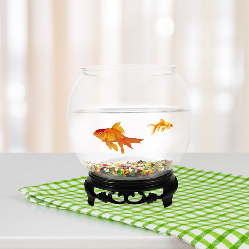 Bocal poisson rouge - poisson, À
