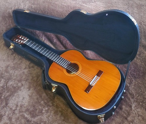 Guitare classique ibanez 2843 - classique,