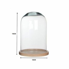 Vitrine Cupole Cloche Verre