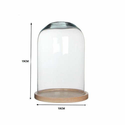 Vitrine cupole cloche - vitrine,
