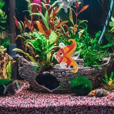  Accessoires Aquarium Déco