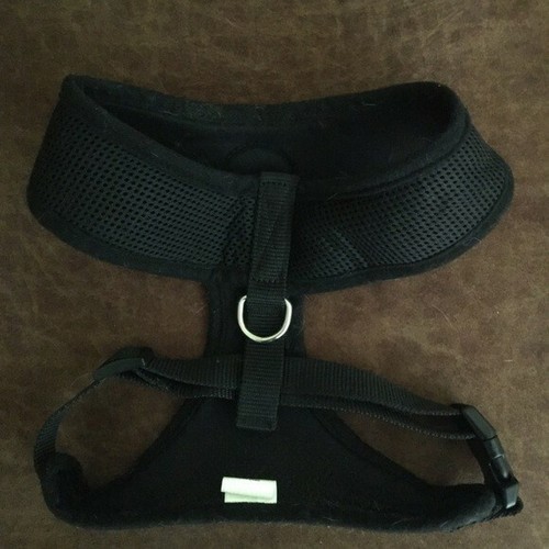 Black mesh dog - mesh,