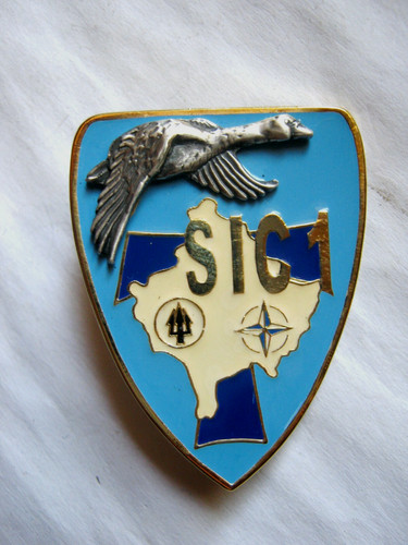 Ancien insigne des - ancien,