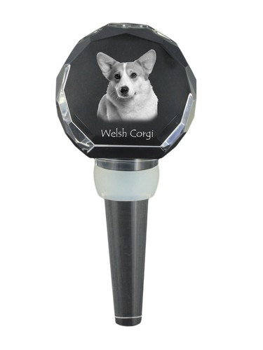 Pembroke welsh corgi bouchon - -,