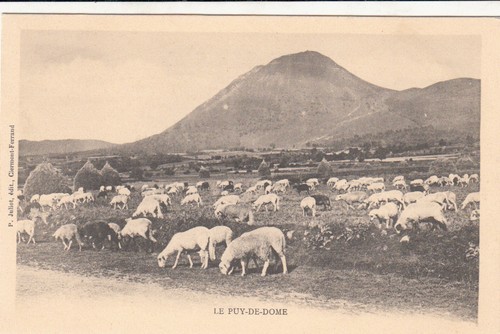 Puy dôme troupeau de - troupeau,