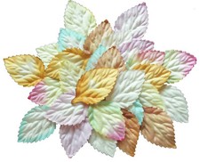 50 feuilles végétales papier