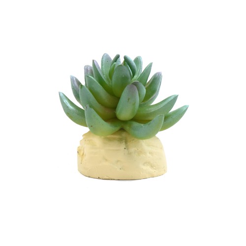 Cactus plastique vert - cactus,
