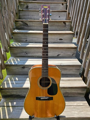 Vintage washburn 300 500 - w-300, w-500