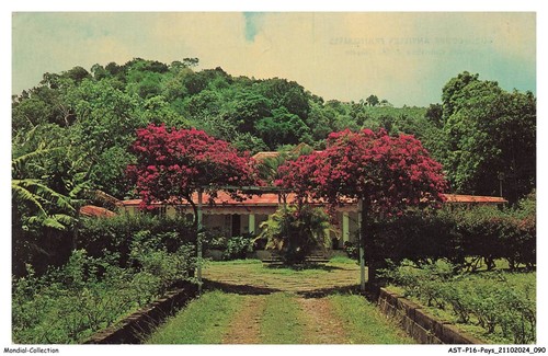 Astp16 1105 guadeloupe - astp16-1105-guadeloupe,