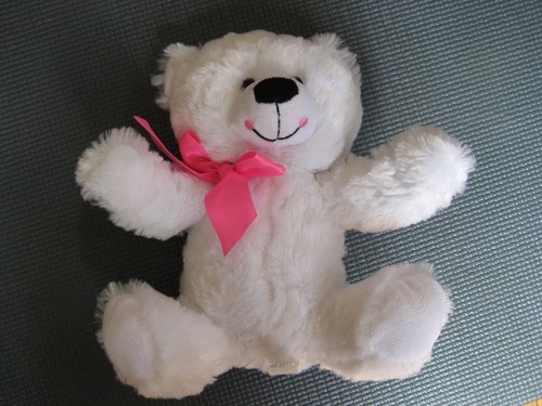 Progressive white teddy bear - teddy,