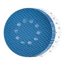 Disque Abrasif 225 mm 10