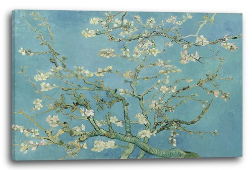 Toile cadres vincent van gogh - toile/cadres,