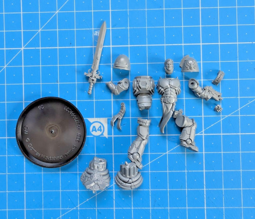 Sanguinary guard bits body - ba,