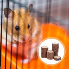  4 Pcs Accessoires Pour Hamsters Cage À Miniatures De Jardin Fées Habitat Du