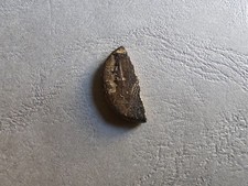 Pièce de Monnaie Romaine -