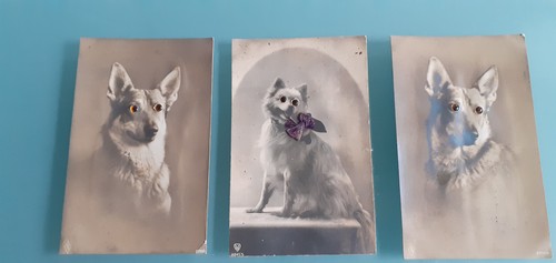 Lot cartes postales - lot, 3