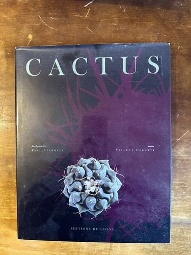 Cerutti cactus chêne 1996 - cerutti,, cactus,