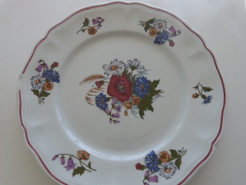 Assiette agreste - assiette,