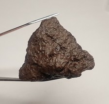 Meteorite Chondrite NWA du