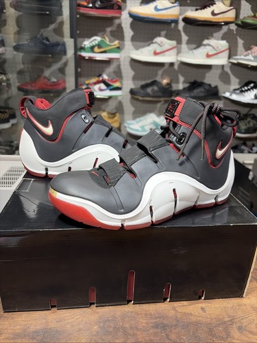 Taille nike zoom lebron - nike,