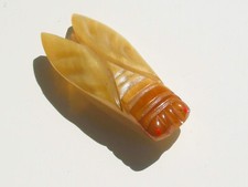 BELLE BROCHE CIGALE ANCIENNE en CORNE DE BOVIN / Longueur 6,3cm