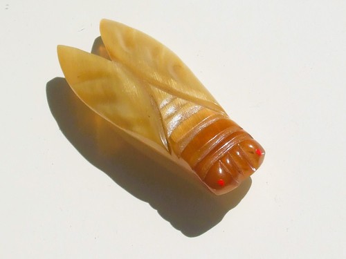 Belle broche cigale - belle,