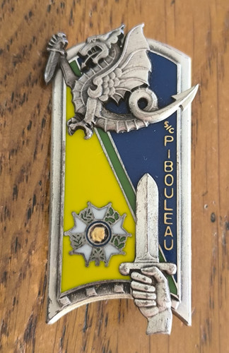 Insigne ensoa 120 - insigne, 120°