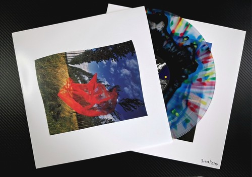 Vinyl pink floyd wish - floyd, were