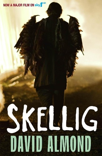 David almond skellig - almond, (poche)