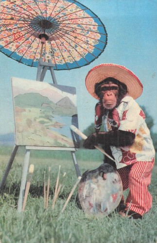 Singe habille chapeau - cp,
