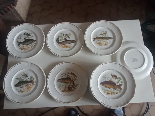 Assiettes plates poisson - plates, à