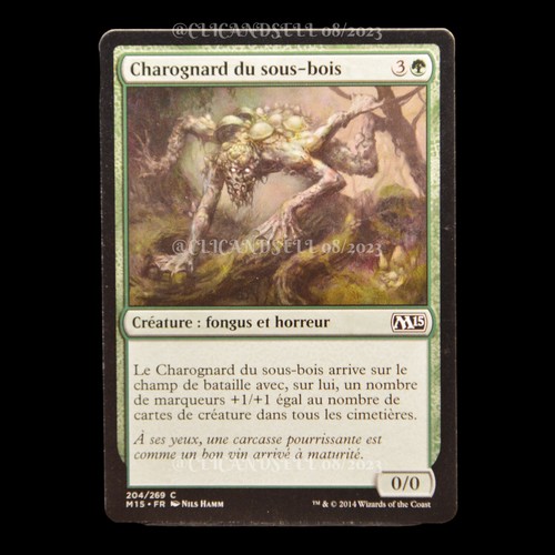 Carte mtg 204 - carte,