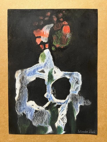 Salvador dali dessin - salvador,