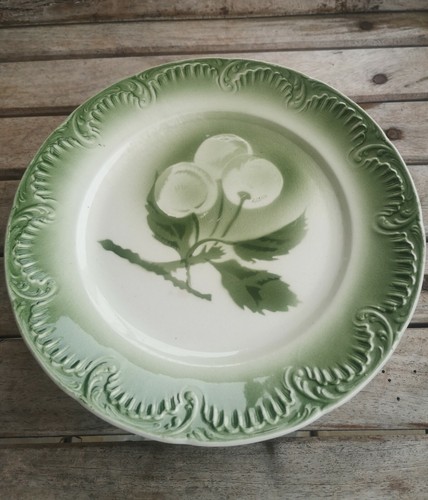 Anciennes assiettes à - 5,