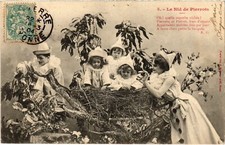 CPA AK 5. Le Nid de Pierrots